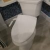 The History of a Toilet